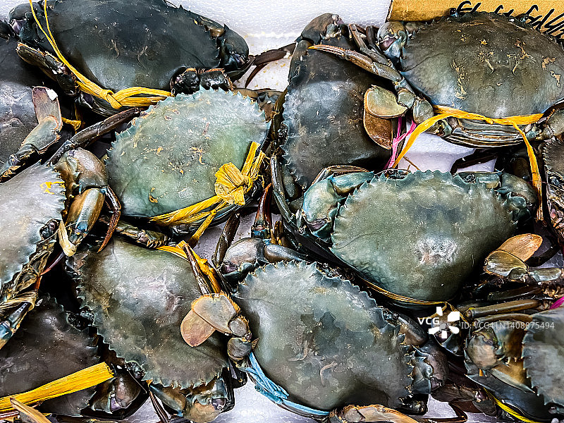 香港美食：蟹黄丰富的母蟹图片素材