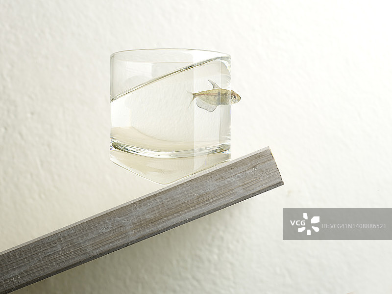 小鱼逃离的水杯图片素材