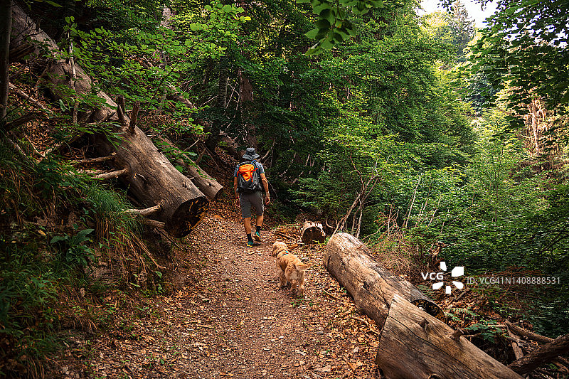 在阿尔卑斯山脉的森林里与获救的狗徒步旅行图片素材