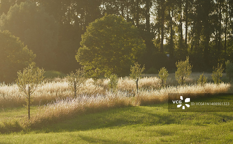 自然保护区日落美景图片素材