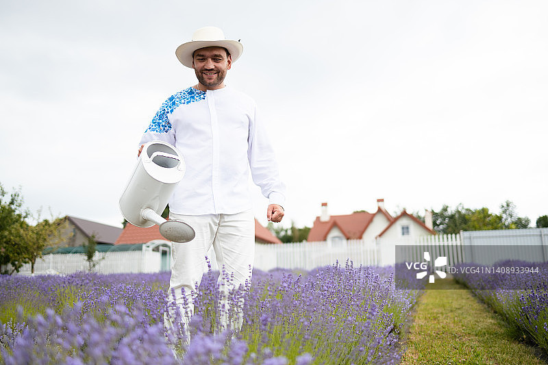 男子在满是薰衣草的庭院里浇水图片素材