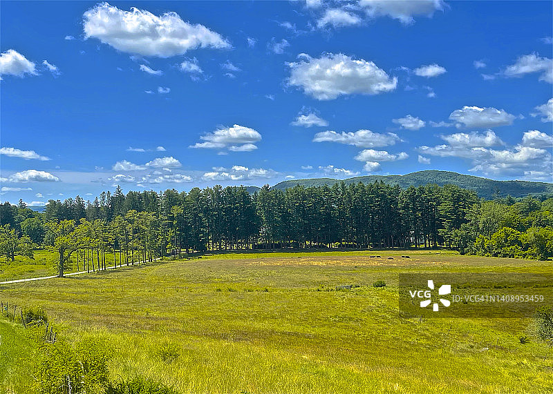 绿色田野、树木和山脉，斯托克bridge图片素材