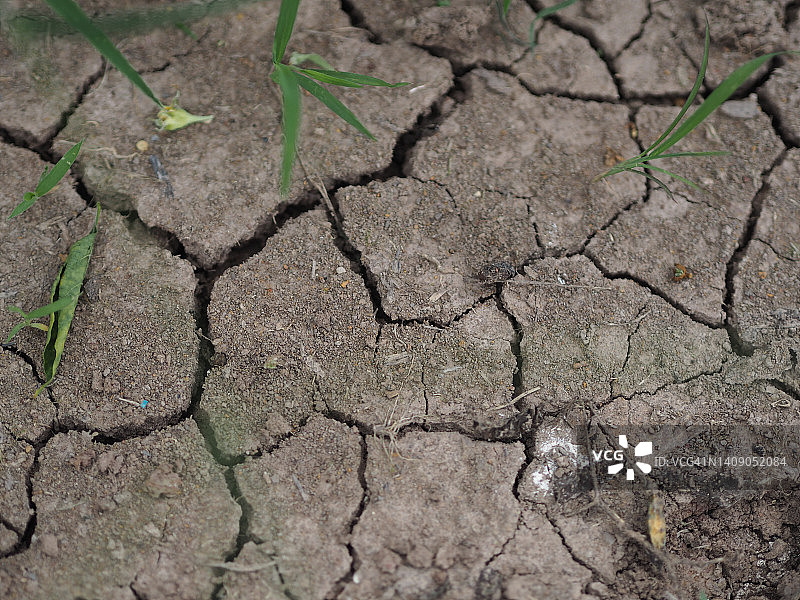 开裂的黏土图片素材