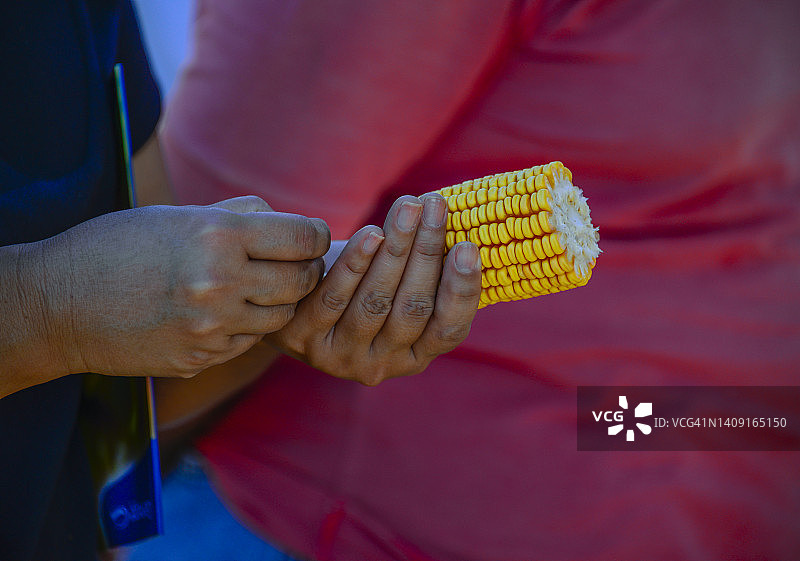 巴西2022年玉米作物图片素材