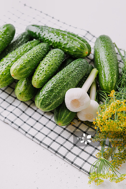成熟的有机黄瓜，腌制前的小黄瓜，有机蔬菜图片素材
