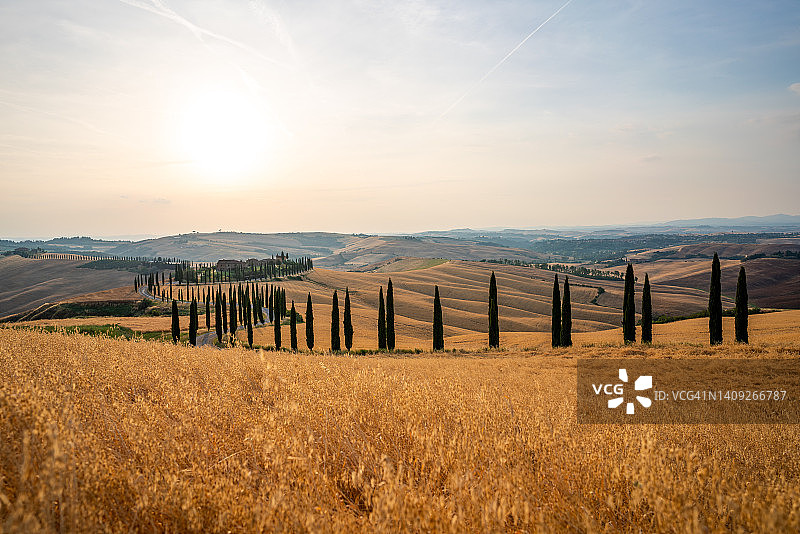 托斯卡纳夏季风光图片素材