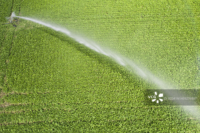 夏季农田灌溉图片素材