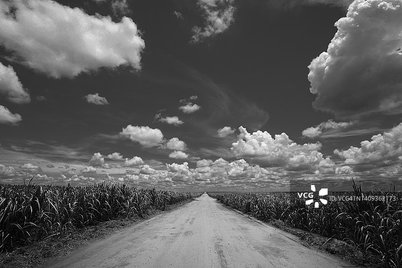 黑白色巴西圣保罗乡村甘蔗种植园道路图片素材