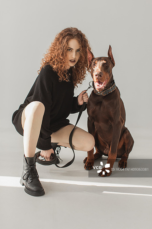 演播室白色背景中，卷发红发女孩与佩戴项圈的纯种杜宾犬看着镜头。模特涂着哑光棕色口红，自然光，长发，宠物，黑狗，时尚美妆照片图片素材
