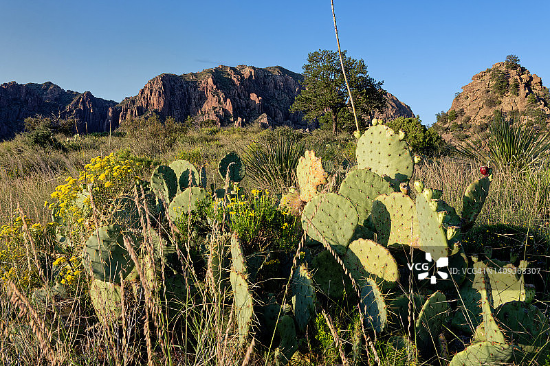大弯国家公园旅行新鲜创意图片素材