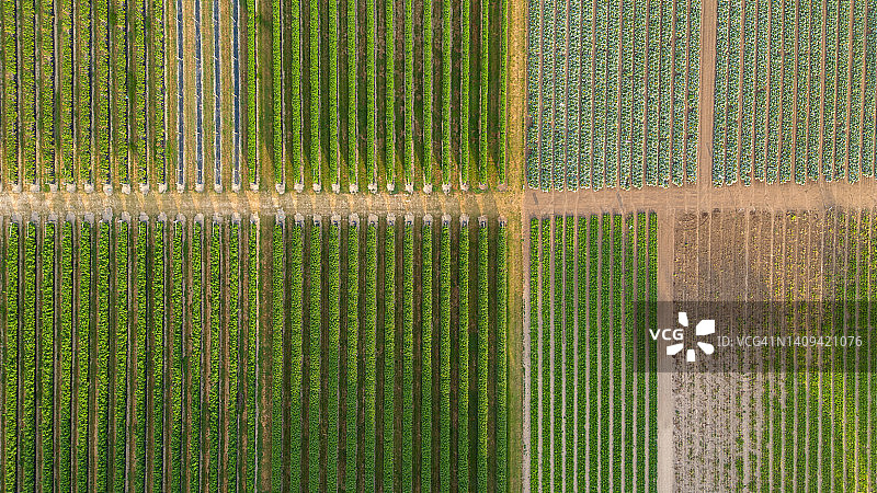 自选农场图片素材