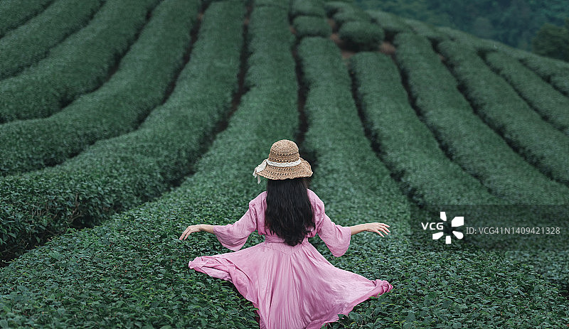 在泰国茶叶农场采摘茶叶的亚洲女性游客图片素材