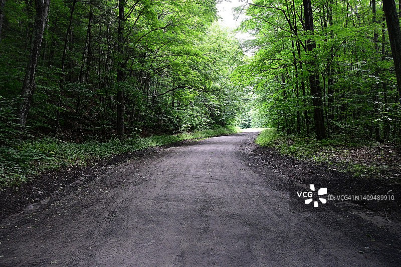 桦树溪路图片素材