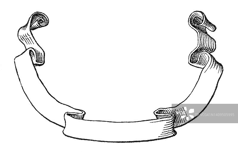 装饰彩带旧版画插图图片素材