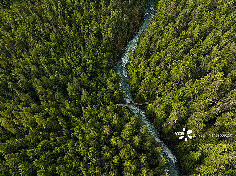 温带雨林中河流的高角度视图图片素材