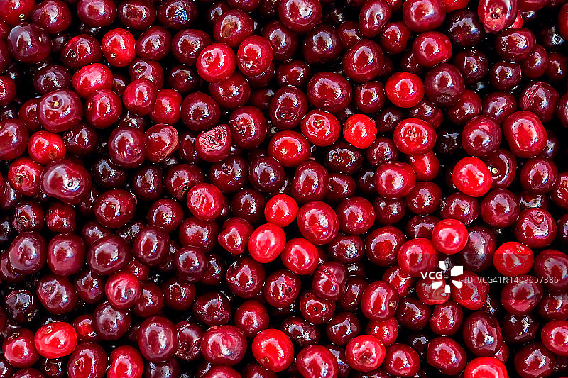 成熟的樱桃浆果。樱桃浆果背景图片素材