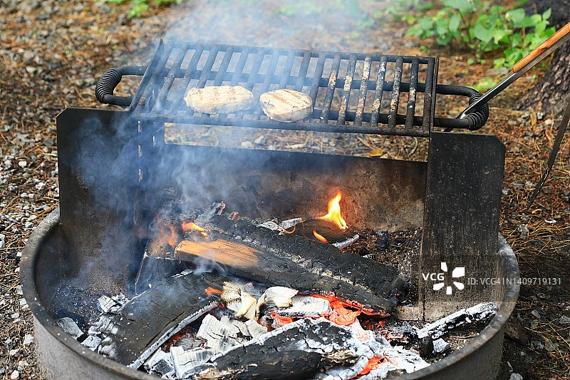 烤食物的燃木篝火图片素材