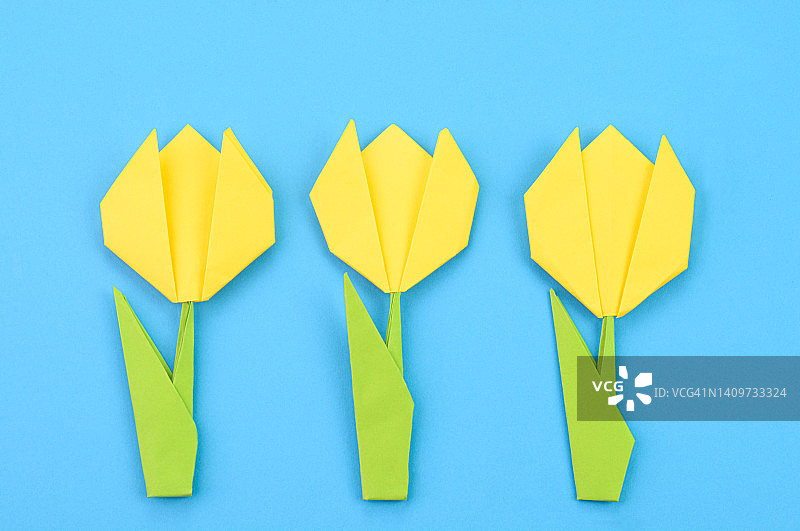 郁金香花图片素材