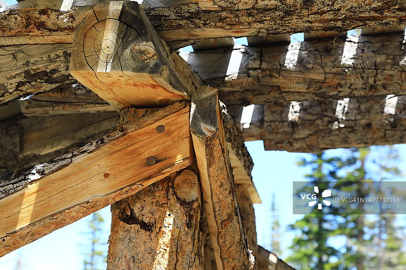 原木搭建的架空桥图片素材