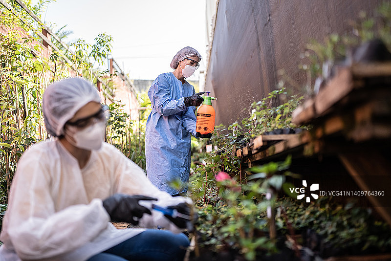 农艺师使用作物喷雾器图片素材