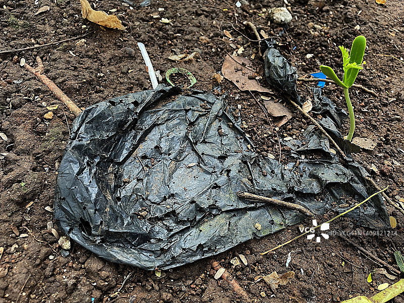 塑料袋和树图片素材