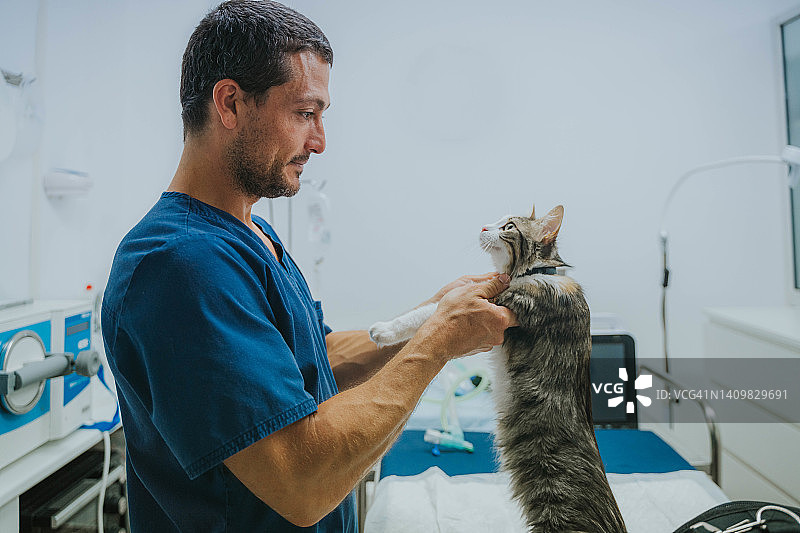 兽医和猫咪深情对视图片素材