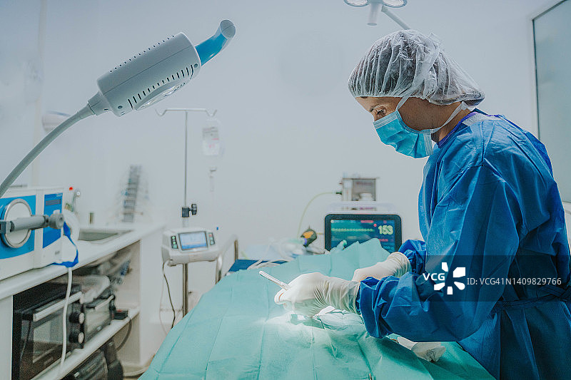 手术中的兽医侧影图片素材