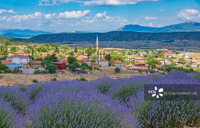 薰衣草香味村庄图片素材