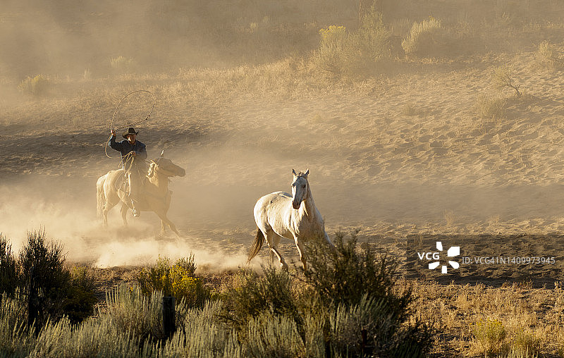 骑马放牧图片素材