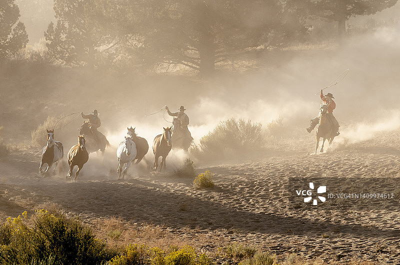 骑马放牧图片素材