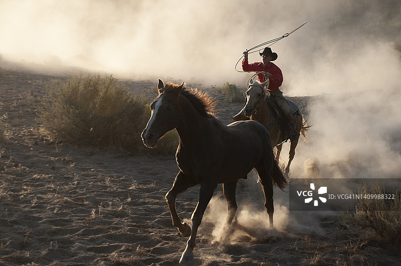 骑马放牧图片素材