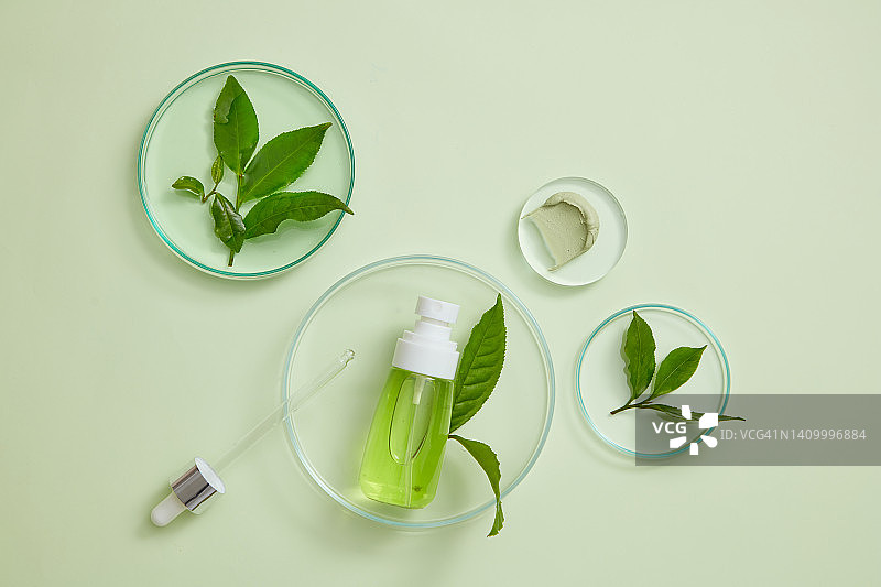 茶叶提取物在化妆品罐中的研究，用于皮肤护理，实验室设备和产品空白区域，健康化妆品内容图片素材