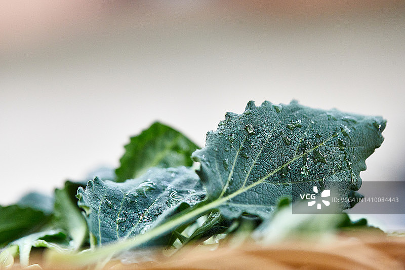 春季蔬菜、香草、食材、菊花、新鲜食材，用于食品准备、健康烹饪和韩国料理图片素材