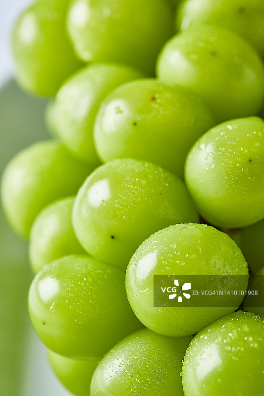 阳光玫瑰葡萄图片素材