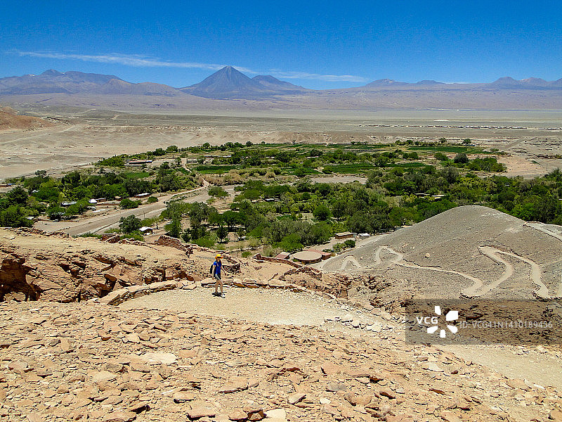 阿塔卡马沙漠中的绿洲图片素材