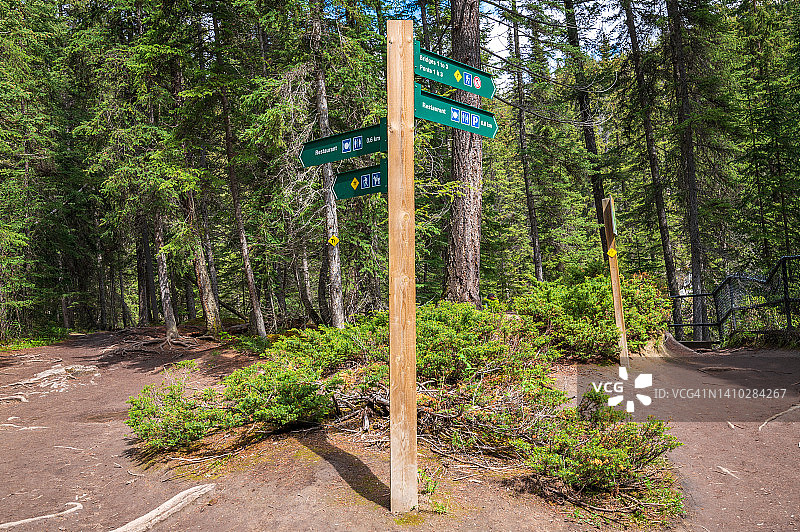 森林中的步行道标志图片素材