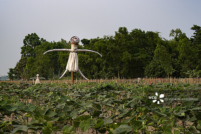 稻草人图片素材