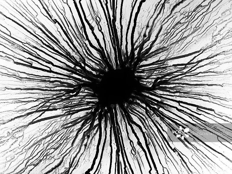 黑色颜料滴落在空白画布上图片素材