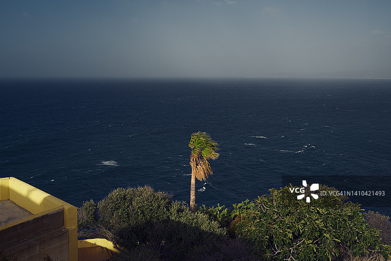 俯拍卡斯特尔萨尔多小镇海景与棕榈树图片素材