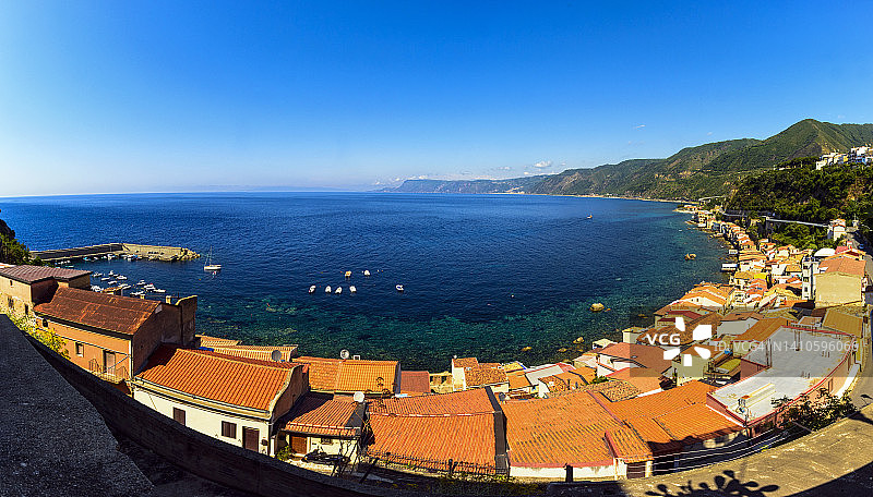 绵枣儿图片素材