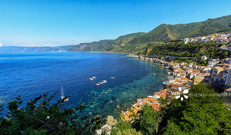 绵枣儿图片素材