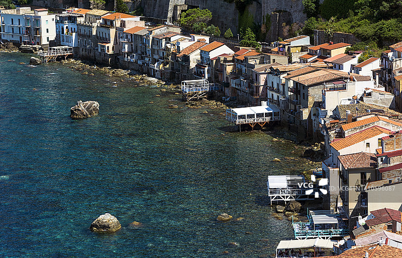 绵枣儿图片素材