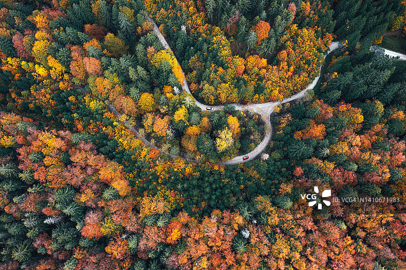 在乡村道路上行驶图片素材