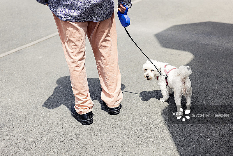 男人遛狗图片素材