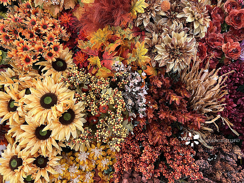 秋季色彩的人造花系列图片素材