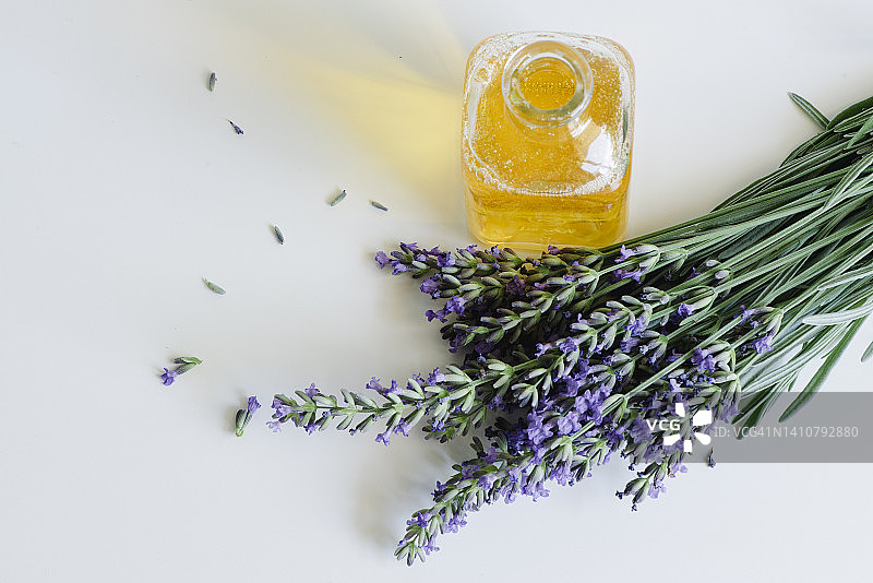 薰衣草香薰精油图片素材