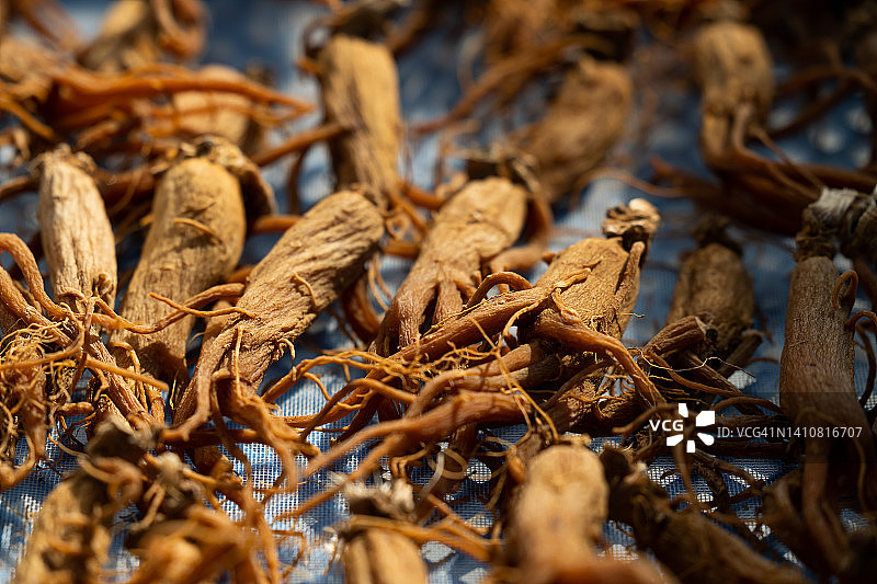 韩国人参图片素材