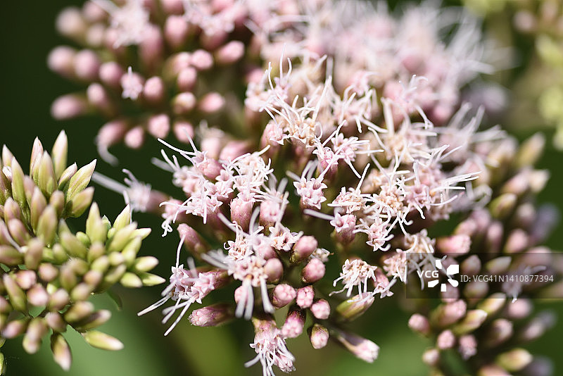 美丽的自然风光图片素材