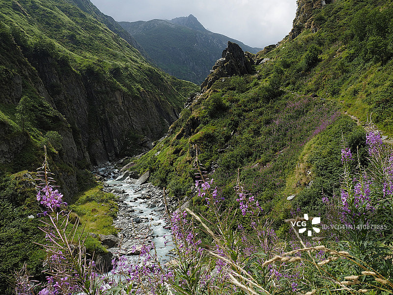意大利北部安特rona山谷自然公园的阿尔卑斯河图片素材