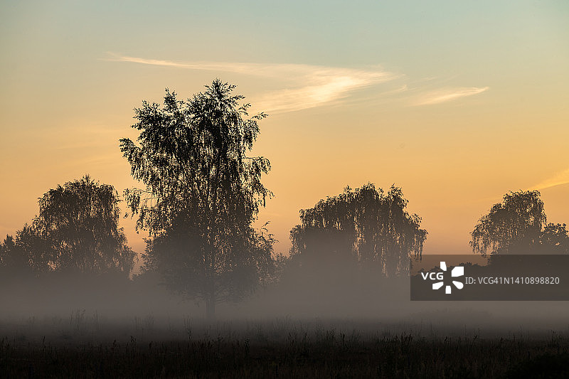 雾蒙蒙的日出图片素材